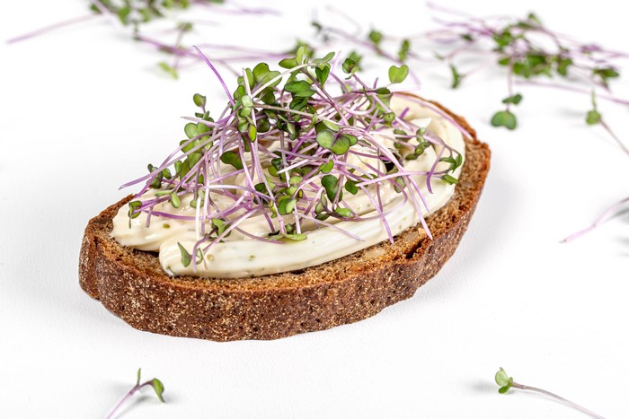 Bread with cream and microgreens on white background