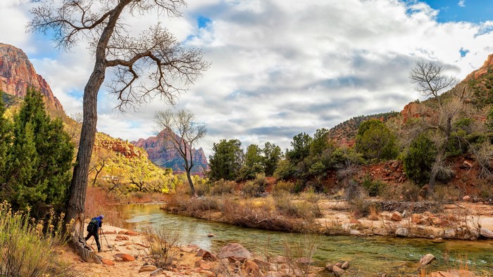 4K Zion National Park River Scenery