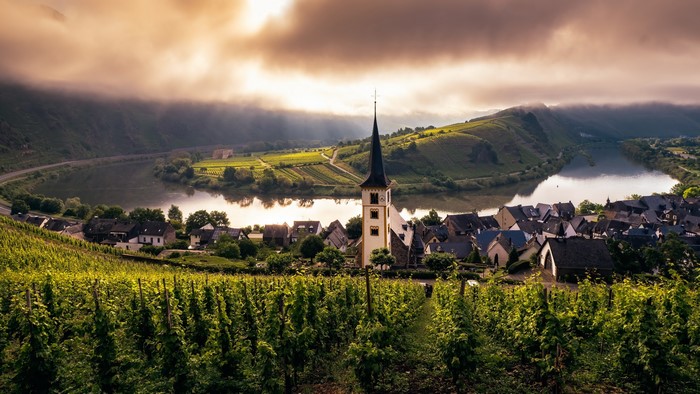 Village with church and vineyard by Mosel river in Germany
