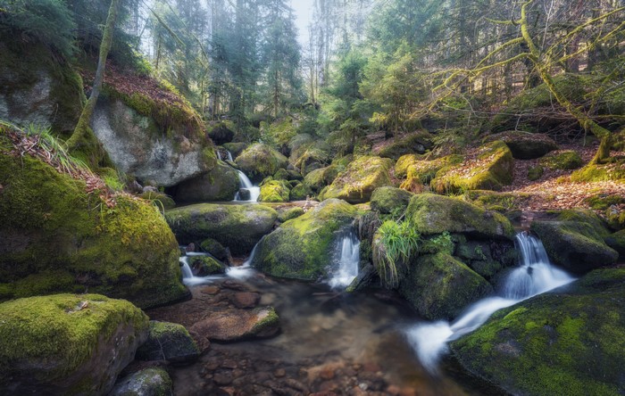 Mossy rocks and waterfalls in a forest stream