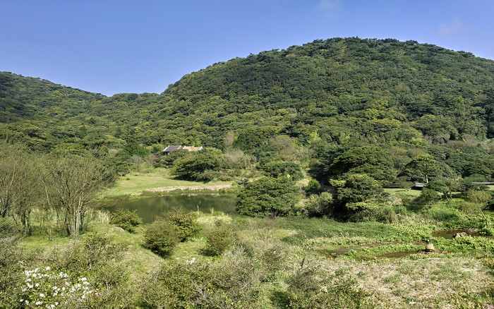 Lake and forest in Sanzhi District, Taiwan
