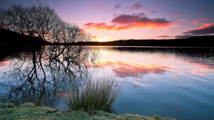 Sunset over a calm lake with silhouetted trees