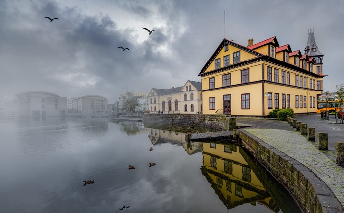 Birds flying over lake with yellow building in Iceland