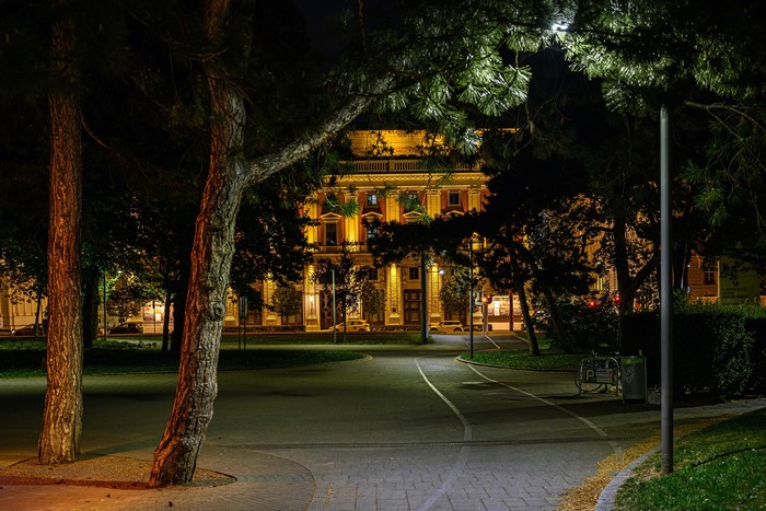 Building at night with trees in Vienna, Austria