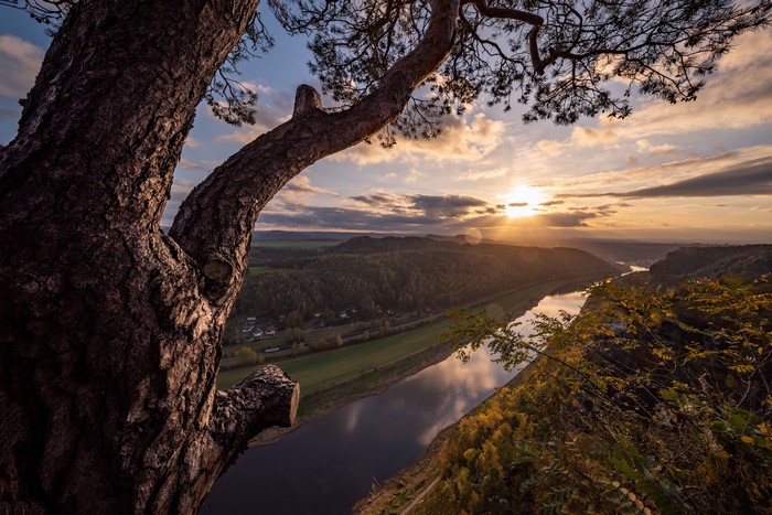 Elba River at Sunrise in Germany with Tree