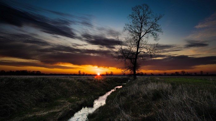 Sunset over a grassy field with a stream and a tree