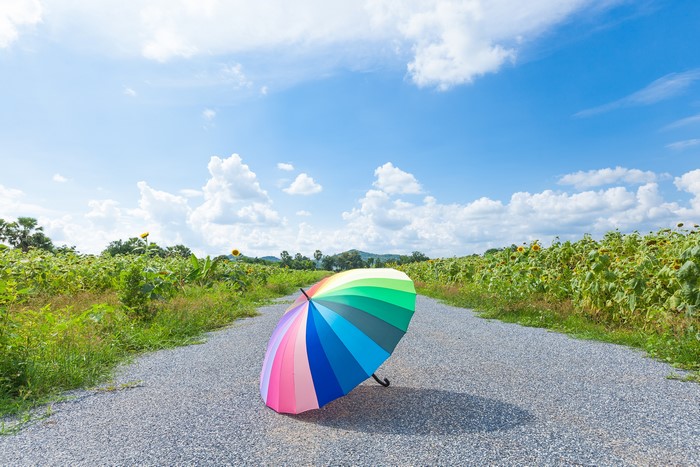 Rainbow umbrella on a gravel road with sunflowers
