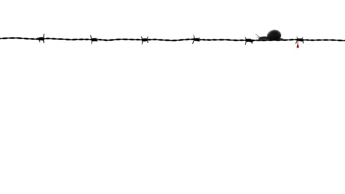 Snail on barbed wire with blood drop