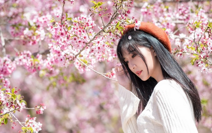 Brunette girl in beret under sakura branches