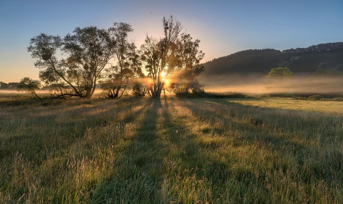 Sunrise over Moselle Valley, Germany with trees and mist