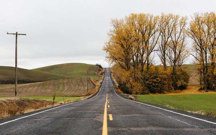 Autumn road through rolling hills with trees