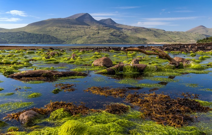 Mountains and Coastline on the Isle of Mull, Scotland