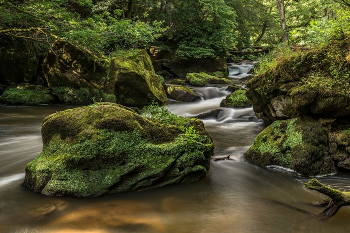 Mossy rocks in a forest stream in Germany