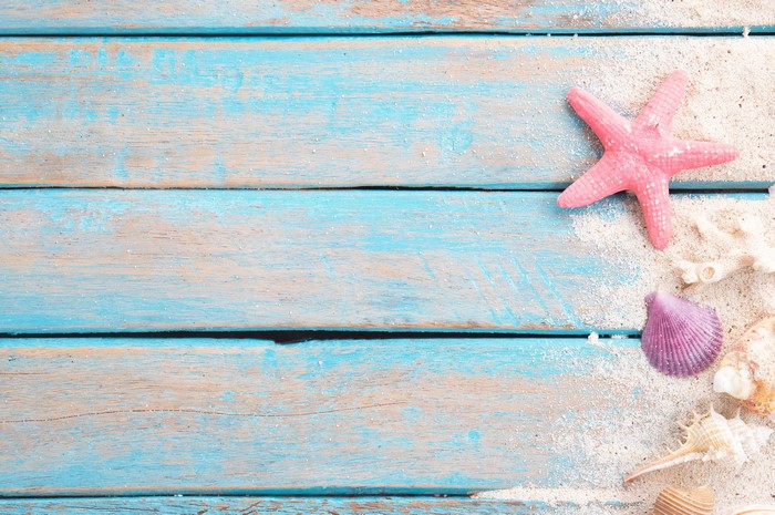 Starfish and shells on blue wood planks