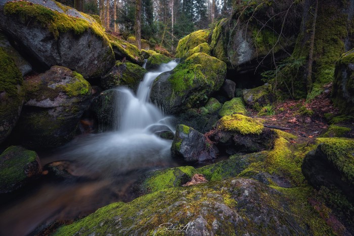 Mossy Stones and Waterfall in Forest