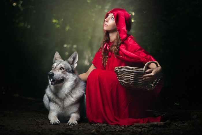 Red Riding Hood with a wolf and basket in forest
