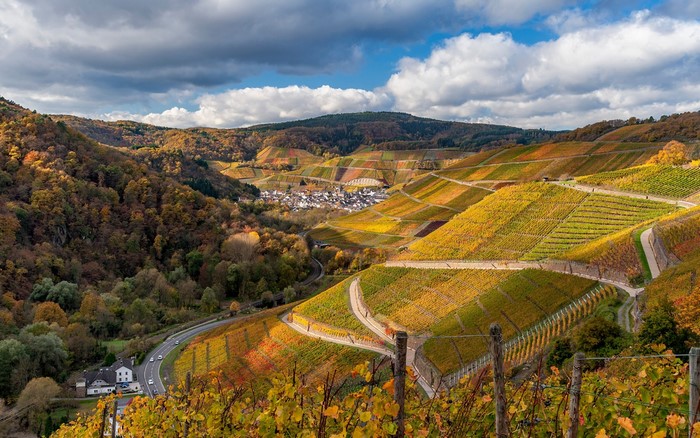 Vineyards in the Ahr Valley, Germany during Autumn