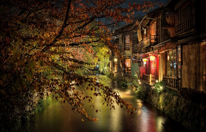 Kyoto canal at night with autumn branches