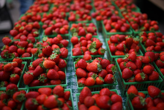 Many red strawberries in green baskets