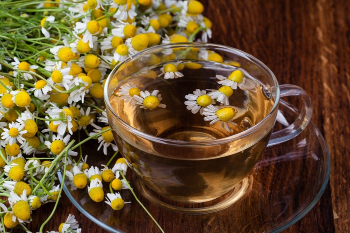 Chamomile tea in a cup with chamomile flowers