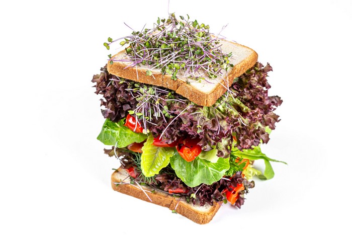 4K Sandwich with Microgreens and Vegetables