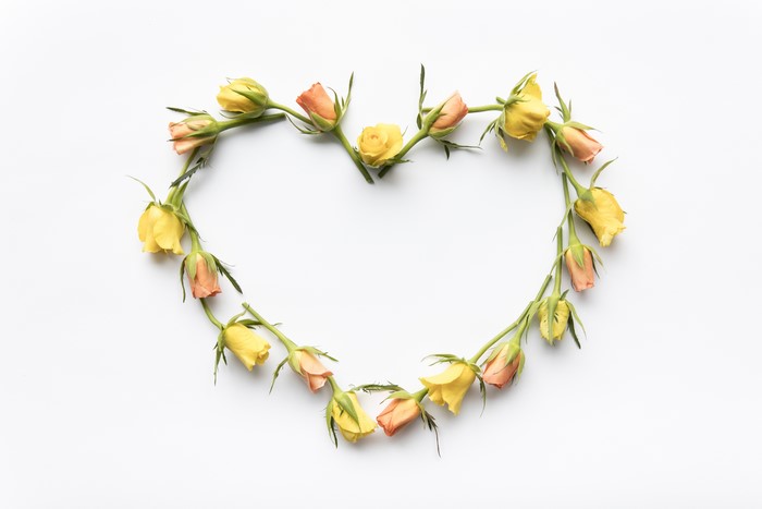 Roses arranged in a heart shape on a white background