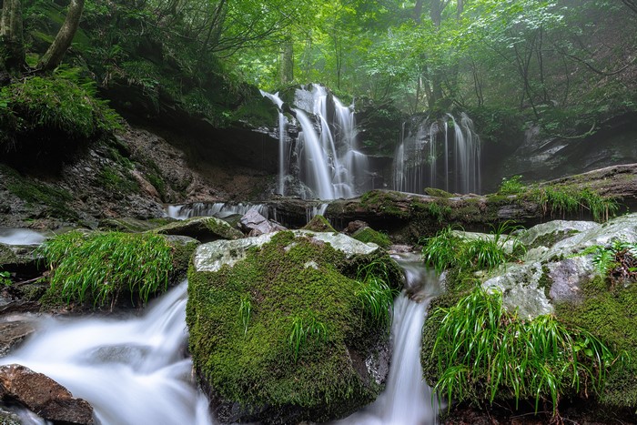 4K Waterfall in a Mossy Forest with Fog