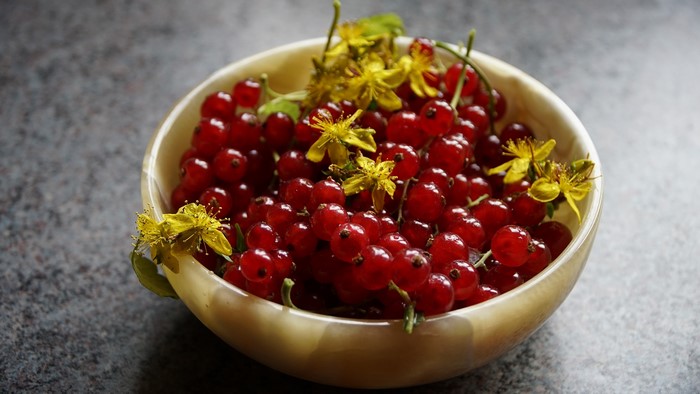 Red Currants in a Bowl with Yellow Flowers