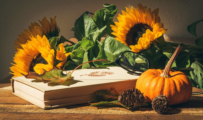 Sunflowers, Pumpkin, Book, Glasses, Pine Cones Still-life