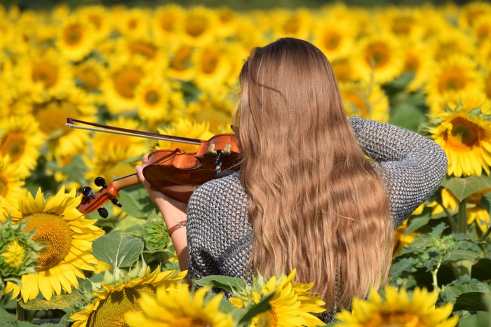 Girl playing violin in sunflower field