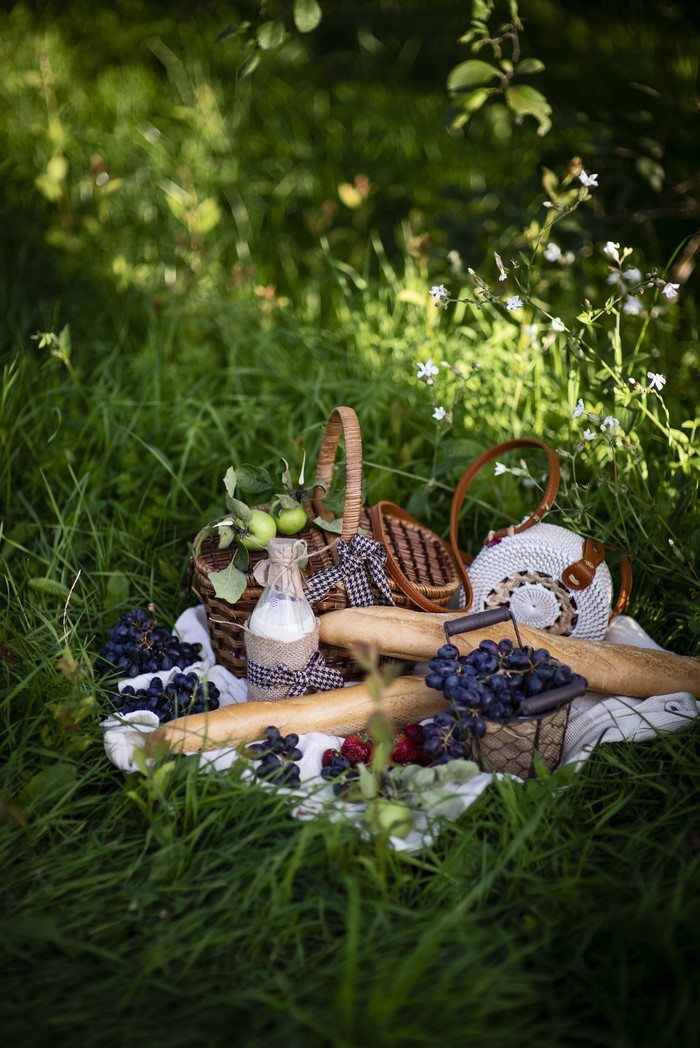 Picnic with Grapes, Bread, Milk, and Apples