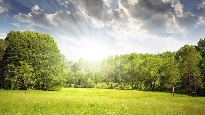 Sunlight shines through clouds over a green meadow and forest