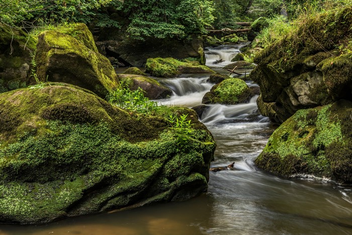 4K South Eifel Stream Among Mossy Stones