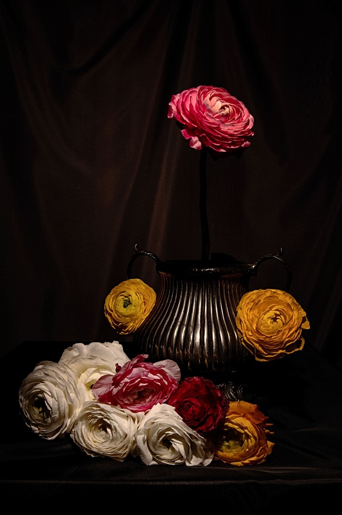 Ranunculus flowers in a silver vase