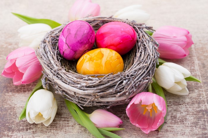 Easter eggs in a nest with tulips