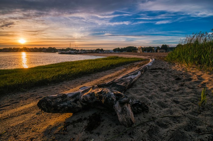Driftwood on a beach at sunset in Clinton, Connecticut