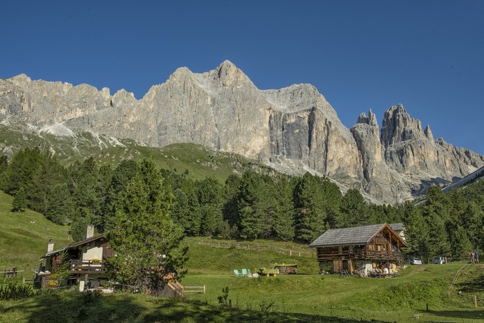 Mountain landscape with houses and forest