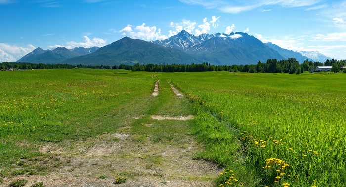 Dirt road through a green field towards mountains in Alaska