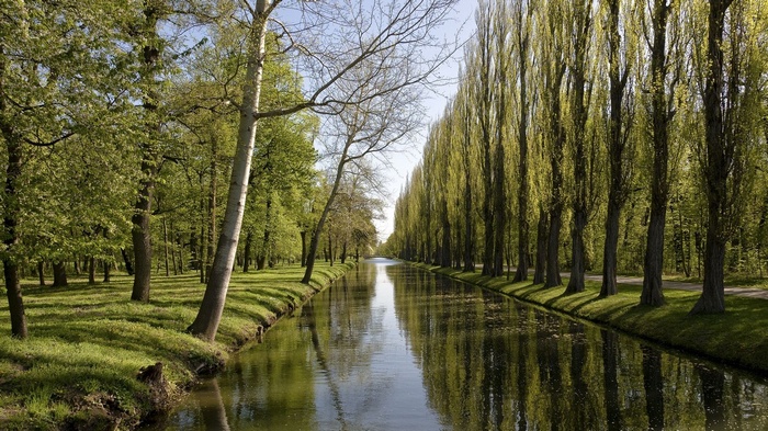 Canal lined with tall trees and a forest