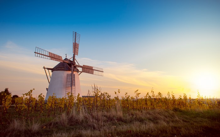 Windmill in a field at sunset