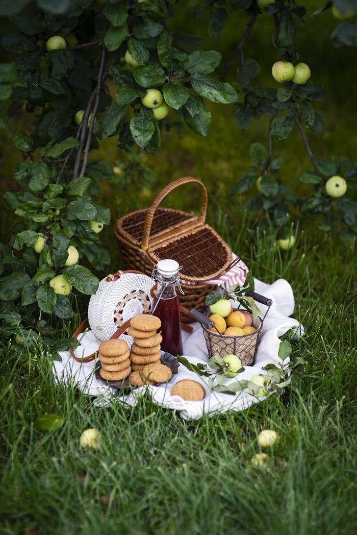 Picnic with cookies, apricots, and apples under a tree