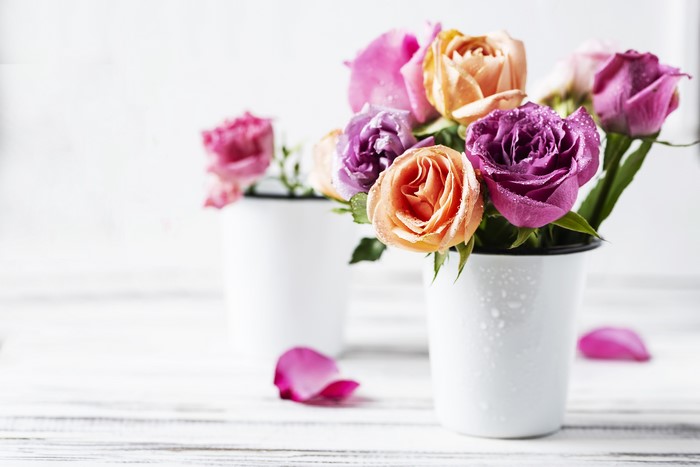 Roses in vases with petals
