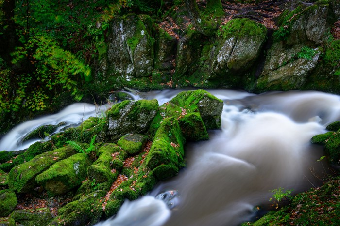 Mossy Rocks and River in Lake District, England