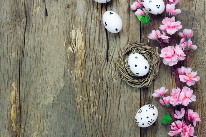 Easter eggs and pink flowers on wooden background