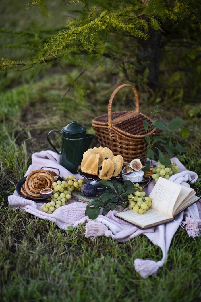 Picnic with Pound Cake, Grapes, and Book