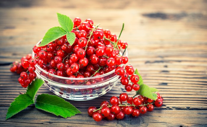 Red Currants in a Bowl