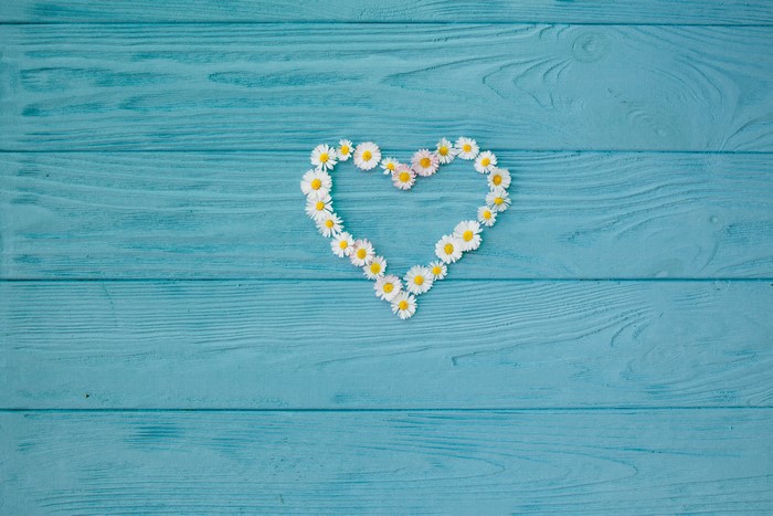 Heart shape made of daisies on blue wooden planks