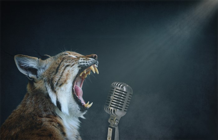 Lynx roaring at a vintage microphone