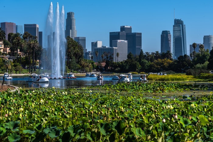 Echo Park Lake with Downtown LA Skyline and Fountain