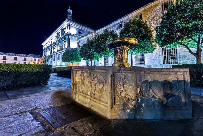 Stone fountain in front of a historic building at night